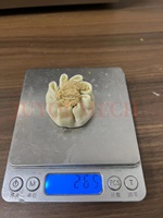 Machine à Former les Siomai Shaomai JUYOU CE, Grande Vente, 900-1200 Pièces/Heure