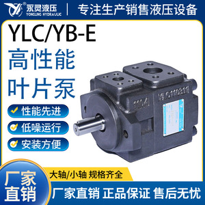 ปั๊มไฮดรอลิกแบบใบพัดยี่ห้อ Yongling รุ่น YLQ10310 แบบยึดหน้าแปลน แรงดันสูง เสียงรบกวนต่ำ สำหรับงานพลาสติกและเครื่องจักรตัด - Product Image 5