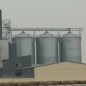 حجم قابل للتخصيص صندوق حبوب مسطح القاع من 50 إلى طن للاستخدام الزراعي والتعاوني الزراعي - Product Image 3