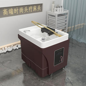 Wss 2025 Lettino da Massaggio per Shampoo, Vendita Calda, Accessori per Salone, Sedia Mobile per Lavaggio Capelli, Lavabo Portatile - Product Image 1