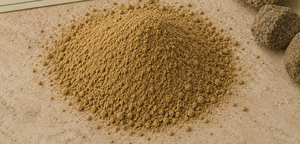 Poudre d'extrait doux de Bergenia Ligulata (Pashanbhed) pour mélanges de tisanes, préparations pour boissons, ingrédients alimentaires et produits naturels - Product Image 2