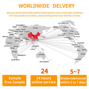 ชุดรูปแบบฮานซินเจลลี่เด็กผู้หญิงคุ้มค่าที่สุดจัดส่งฟรี10000ชิ้นสินค้าคงคลังปรับแต่งได้อะคริลิคภาพเคลื่อนไหว - Product Image 6