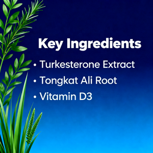 Turkesterone naturale & Tongkat Ali capsule con puro estratto di Turkesterone integratore a base di erbe per energia & vitalità Boost - Product Image 2
