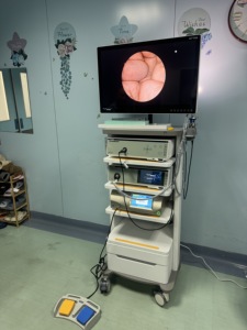 Sistema de Cámara de Endoscopia Médica Full HD IKEDA YKD-9103T en Oferta para Endoscopia Quirúrgica y Torre Laparoscópica Completa - Product Image 6