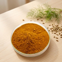Ekstrak Biji Adas Herbal Foeniculum Vulgare 20:1 10:1 Larut dalam Air Kemasan Vakum Drum untuk Suplemen Makanan