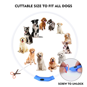 Pet Supplies LED Dog Pets Collars USB Rechargeable with Design Glowing Dog Collar Adjustable Flashing Collar Led for Dogs - Product Image 5