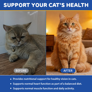 Worafy 60ml Compléments Liquides de <span class=keywords><strong>Taurine</strong></span> pour Chats – Gouttes de <span class=keywords><strong>Taurine</strong></span> Premium pour la Santé Cardiaque et le Soutien de l'Activité Musculaire des Chats - Product Image 4