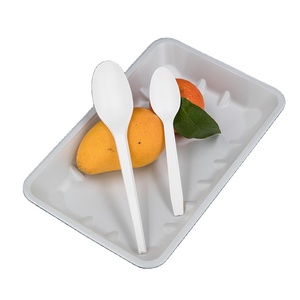 Disposable dinner plate biodegradable pla plastic