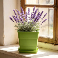 Pots de fleurs carrés légers, jardinières durables en PP, conteneurs de pépinière suspendus avec trou de drainage
