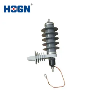 HOGN YH5W Polymeric Housed Metal-oxide Surge Arrester Without Gaps Nominal Discharge Current Surge Arrester Lightning 15KV