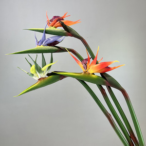 BF-BP03 Bloom Floral, <span class=keywords><strong>Flores</strong></span> Tropicales Artificiales <span class=keywords><strong>de</strong></span> Alta Calidad <span class=keywords><strong>de</strong></span> 85 cm, PVC Suave, Flor <span class=keywords><strong>de</strong></span> Ave del Paraíso Artificial con Tacto Real - Product Image 1