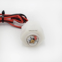 Module de stérilisation de l'eau LED UVC YingGuang 2021 avec puces AlGaInP, DC12V/24V, garantie 1 an, intensité variable pour eau potable en réservoir