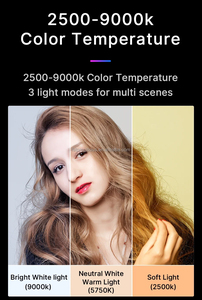 <span class=keywords><strong>Ulanzi</strong></span> <span class=keywords><strong>VL49</strong></span>ไฟวิดีโอ LED สี RGB 2500K-9000K 800LUX แม่เหล็กกรอกข้อมูลขนาดจิ๋ว3ช่องไฟกล้องประเภท C 2000mAh - Product Image 4