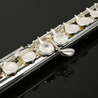 Nickel-Plated 16-Hole C Tuned Flute Western Woodwind Instrument Suitable for Beginners General and Professional Players