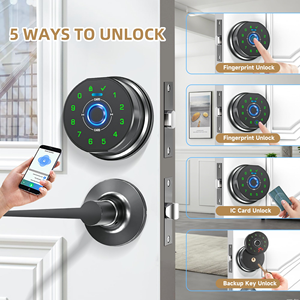 Serratura Intelligente Personalizzata per Ufficio, Ingresso Senza Chiave Sicuro, Serratura Digitale con Supporto App, Serratura Elettronica per Hotel e Casa - Product Image 2