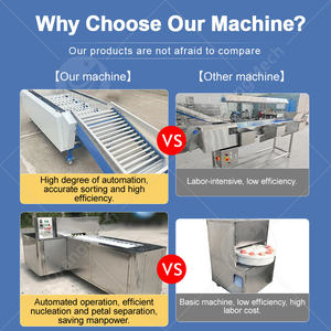 Machine à jus d'orange ORME, ligne de production automatique de jus de fruits et de canne à sucre - Product Image 5