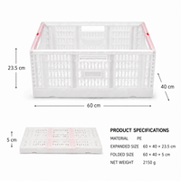 Caisse en plastique pliable empilable pour le stockage des fruits et légumes, durable, ventilée, en maille, pliable