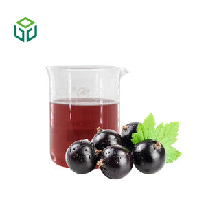 Bubuk Ekstrak <span class=keywords><strong>Acai</strong></span> Berry Alami Organik Murni dengan Polifenol & Vitamin, Bubuk Jus Buah dalam Kemasan Botol & Drum - Product Image 3