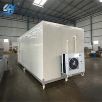 Contenedor Refrigerado Personalizado de 20 y 40 Pies, Congelador Móvil, Cámara de Congelación Rápida, Cuarto de Refrigeración para Carne y Pescado