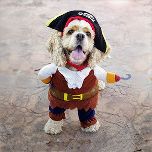 Divertido disfraz de Halloween para mascotas, traje de pirata para perros pequeños, gatos y perros, ropa de Cosplay, disfraz de Halloween, sombrero de pirata - Product Image 3
