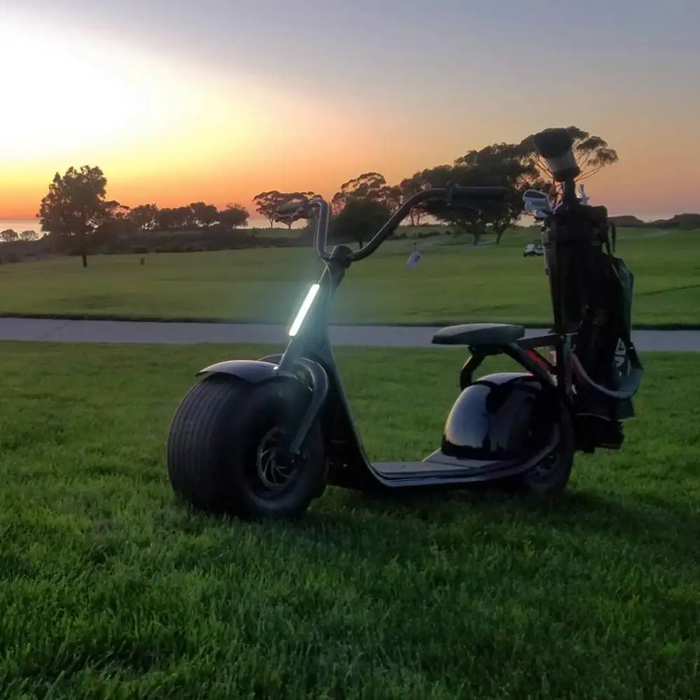 Cee/COC nouveau modèle K1 modèle K1S célèbre marque de qualité Scooter électrique Citycoco pour adulte