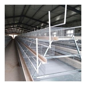 Jaula para pollos de 128 capas tipo A, Equipo Manual para la cría de aves de corral, jaulas para pollos de huevo - Product Image 5