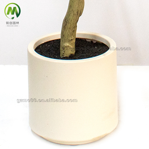 Vente <span class=keywords><strong>en</strong></span> gros de fleurs artificielles de bougainvilliers <span class=keywords><strong>en</strong></span> <span class=keywords><strong>pot</strong></span>, fausses fleurs réalistes pour la décoration de la maison et de l'hôtel, avec peu d'entretien - Product Image 6