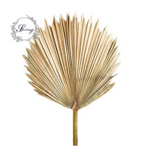 Feuilles de <span class=keywords><strong>palmier</strong></span> séchées Instagram pour la décoration de mariage - Product Image 3