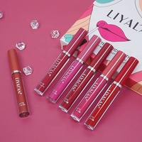 Vente en gros de gloss à lèvres de maquillage en 6 couleurs, gloss à lèvres nude végétalien imperméable, rouge à lèvres liquide mat, ensemble de rouge à lèvres