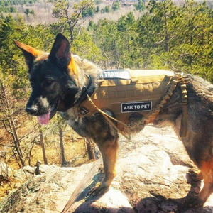 Arnés de entrenador táctico de nailon con estampado de camuflaje OEM de WEAVER, arnés de entrenamiento para perros de caza, arnés y chaleco táctico para perros - Product Image 6