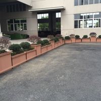 Jardinières en Bois-Plastique Résistantes à la Corrosion, Biodégradables, Respirantes, Économes en Eau, Résistantes à la Sécheresse pour Jardinage Domestique