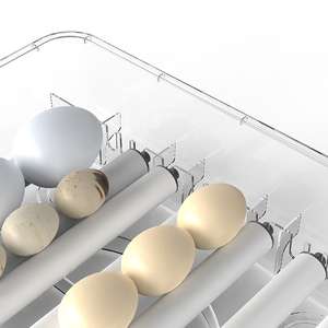 Wonegg LED candler chất lượng tốt hơn 216 Gà Chim Cút Vẹt trứng tự động ấp trứng - Product Image 4