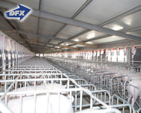 Conception de bâtiment d'élevage de porcs prêt à l'emploi, structure en acier pour élevage de porcs, bâtiment d'élevage de porcs à vendre