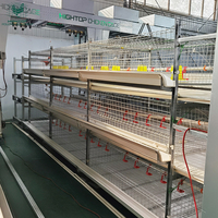 Système de cages à poulets automatiques à 3 étages et 4 niveaux de type H pour l'élevage de poulets de chair