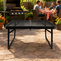 Table de camping pliable en métal grillagé 60x40x32,5 cm, table d'appoint portable à hauteur réduite avec plateau grillagé divisé pour pique-nique et plage