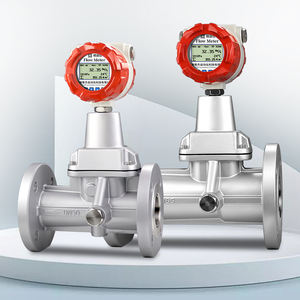 プリセッションボルテックス流量計 DN50 天然ガス、ガスアルゴン、圧縮空気用プリセッションボルテックス流量計 - Product Image 2