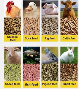 Alimentación animal <span class=keywords><strong>de</strong></span> piensos <span class=keywords><strong>de</strong></span> <span class=keywords><strong>peletizadora</strong></span> - Product Image 6
