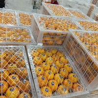 Jeruk Navel Segar Jeruk Mandarin Buah Segar Buah-buahan Citrus Jeruk Valencia Dari Cina untuk Grosir