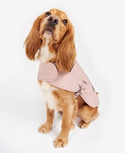 Chaquetas Clásicas de Invierno de Algodón <span class=keywords><strong>para</strong></span> Perros <span class=keywords><strong>Golden</strong></span> <span class=keywords><strong>Retriever</strong></span> al por Mayor - Abrigos Impermeables de Lujo Personalizados <span class=keywords><strong>para</strong></span> Perros <span class=keywords><strong>para</strong></span> Aventuras al Aire Libre - Product Image 3