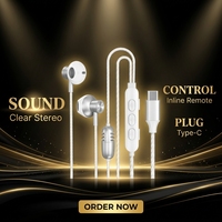 Earbud Kabel Tipe-C Logam Grosir dengan Kontrol Inline, Mikrofon Ganda, Peredam Kebisingan, untuk Ponsel, Gaming, dan Siaran