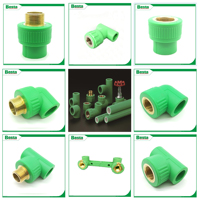 Embouts de raccordement PPR, raccord de tuyau PPR, bouchon de tuyau, fourniture directe d'usine en Chine, embout de tuyau PPR