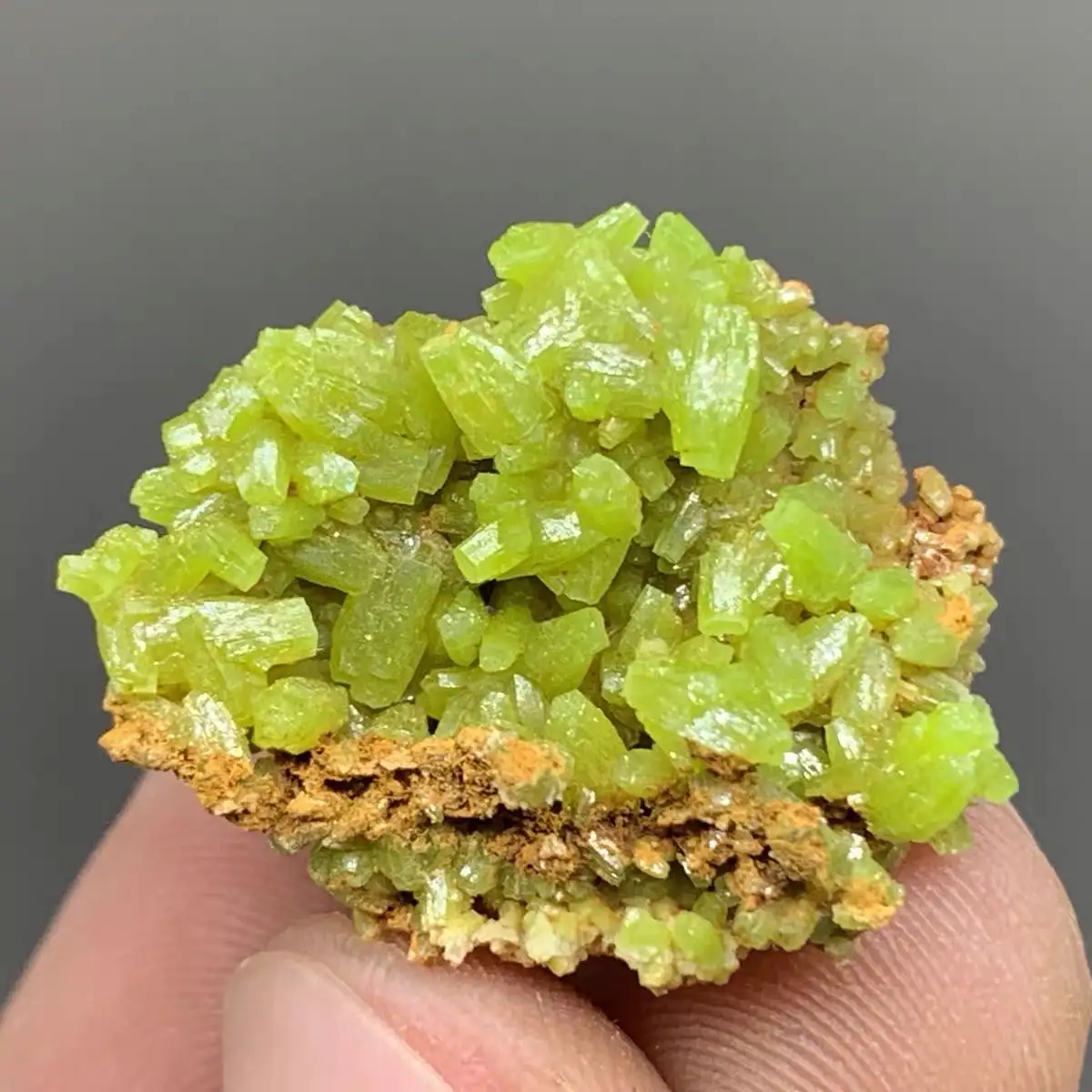 Natural High Quality Green Pyromorphite of mineral specimen for hand specimen observation