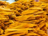 Natuurlijk zoete gevriesdroogde mangoschijfjes OEM ondersteund door Chinese fabrikant groothandel bulk verpakking vacuüm verpakt
