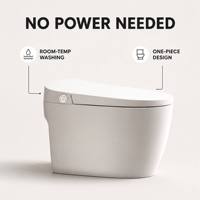Toilette intelligente sans électricité Inodoros Toilette Inteligente Cuvette de toilette intelligente Toilette intelligente pour salle de bain