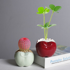<span class=keywords><strong>Pot</strong></span> en céramique pour plantes succulentes, motif <span class=keywords><strong>pomme</strong></span> mignon, transfrontalier, vase pour plantes vertes succulentes, <span class=keywords><strong>petit</strong></span> <span class=keywords><strong>pot</strong></span> de bureau créatif, ornement respirant - Product Image 2