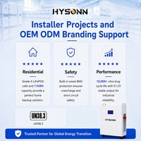 Batterie de stockage domestique basse tension Hysonn 11,77 kWh 48 V 230 Ah murale LFP pour projets d'installation et support de marquage OEM/ODM