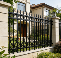 Rampe de protection décorative en acier zingué robuste, résistante à la corrosion et aux intempéries, pour extérieur, balcon, escalier, jardin, villa
