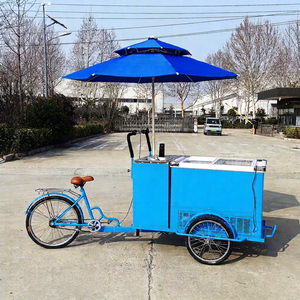 Carrito de helados personalizado con ruedas de bicicleta y refrigerador, superventas en Reino Unido, Italia y otros países. Depósito. - Product Image 1
