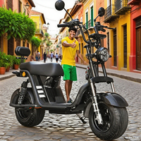 Scooter Urbain Sportif Haute Performance 2025 avec Moteur Brushless 60V 1000W, Vitesse 60km/h, Grandes Roues, Type Streetbike
