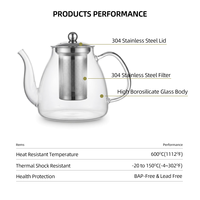 Théière en verre avec infuseur en acier inoxydable 800 ml / 27,33 oz, théière transparente en borosilicate pour thé infusé aux fruits, thé glacé, maison